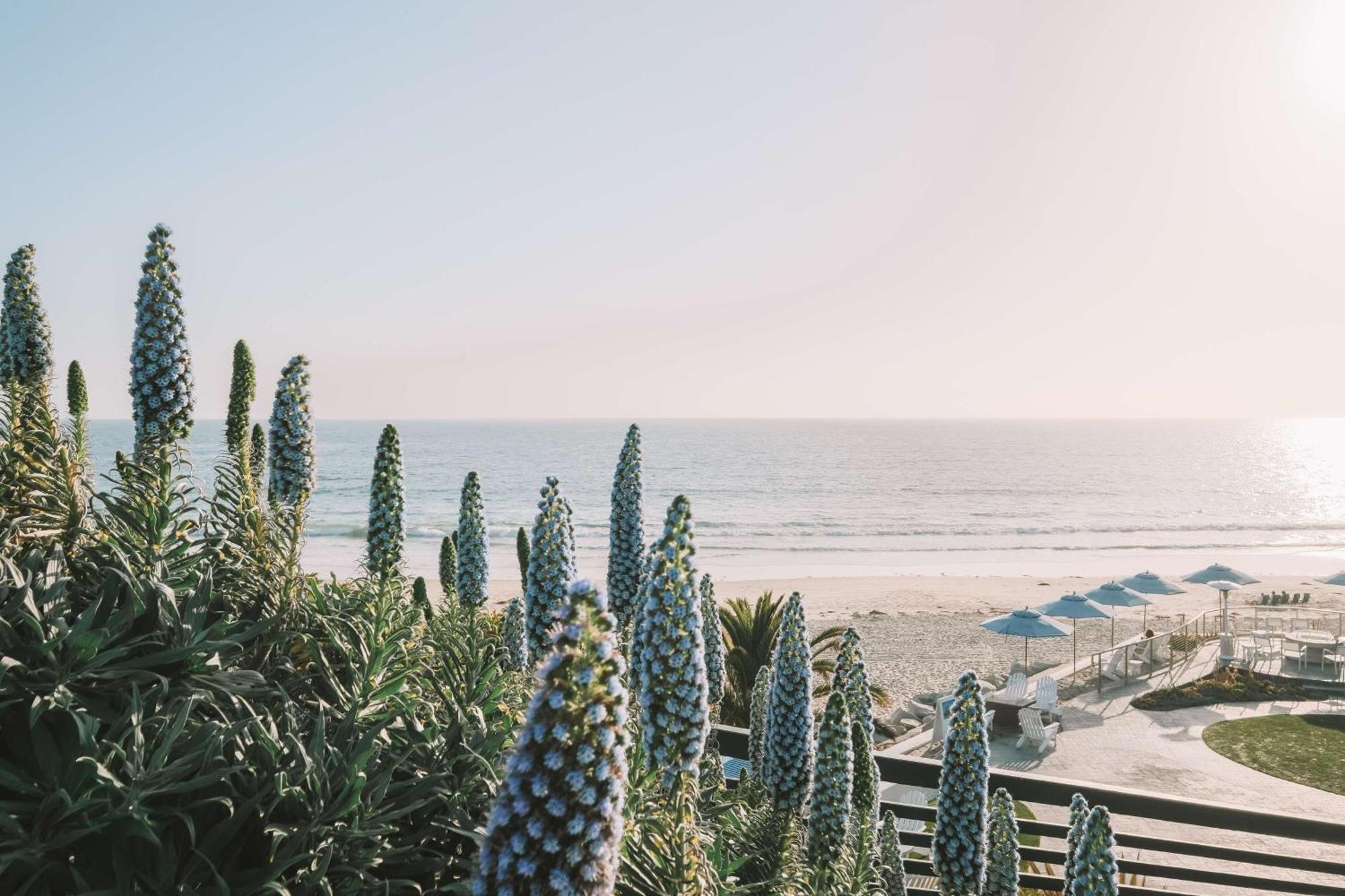 Waldorf Astoria Monarch Beach Resort & Club Dana Point Exteriér fotografie